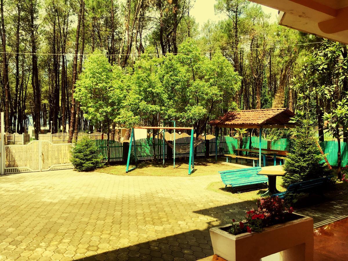 Hotel "Qeti" Shekvetili Extérieur photo